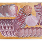 Meat Bundle | The Piggly Wiggly | Stittsworth Meats